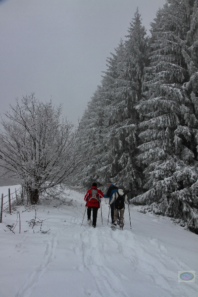 130203021_b_am-iberg-967m