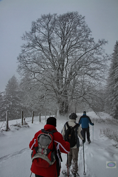 130203023_b_am-iberg-967m