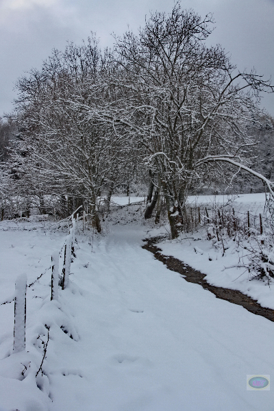 130203045_b_winterlandschaft