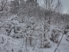 130203037_b_winterlandschaft