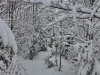 130203039_b_winterlandschaft