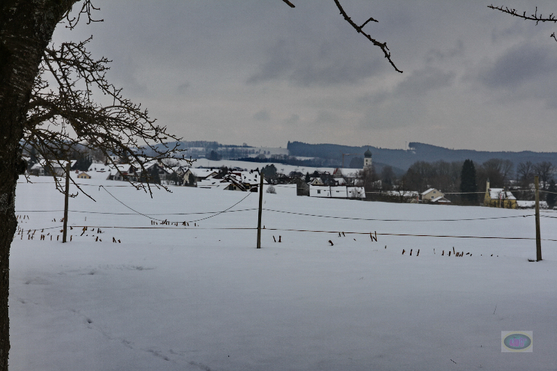 130217021_b_bergatreute