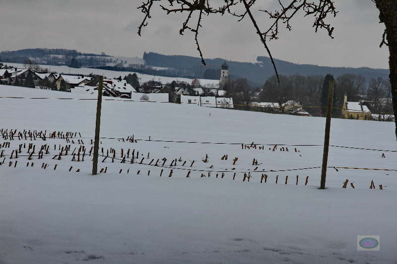 130217022_b_bergatreute