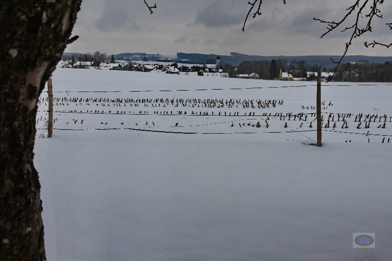 130217023_b_bergatreute