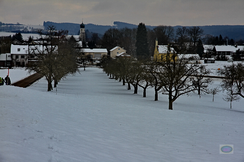 130217025_b_bergatreute