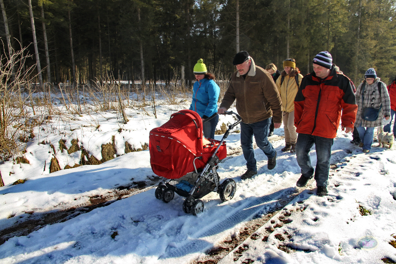 130303011_b_im-selighofer-wald