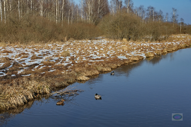 130303023_b_abfluss-des-federsees