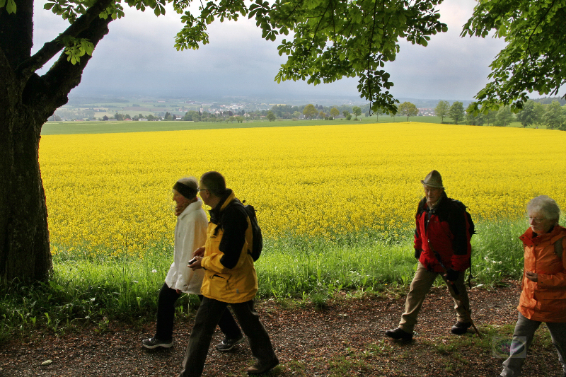 130526009_b_bei-der-kapelle-hohlkreuz