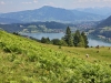 130714053_b_alpsee-gruenten-isler-bscheisser2000-ponten-2045
