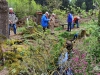 140504033_B_Quelle der Riss Michelwinnaden