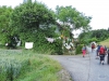 140619095_B_Der Storch in Mehring