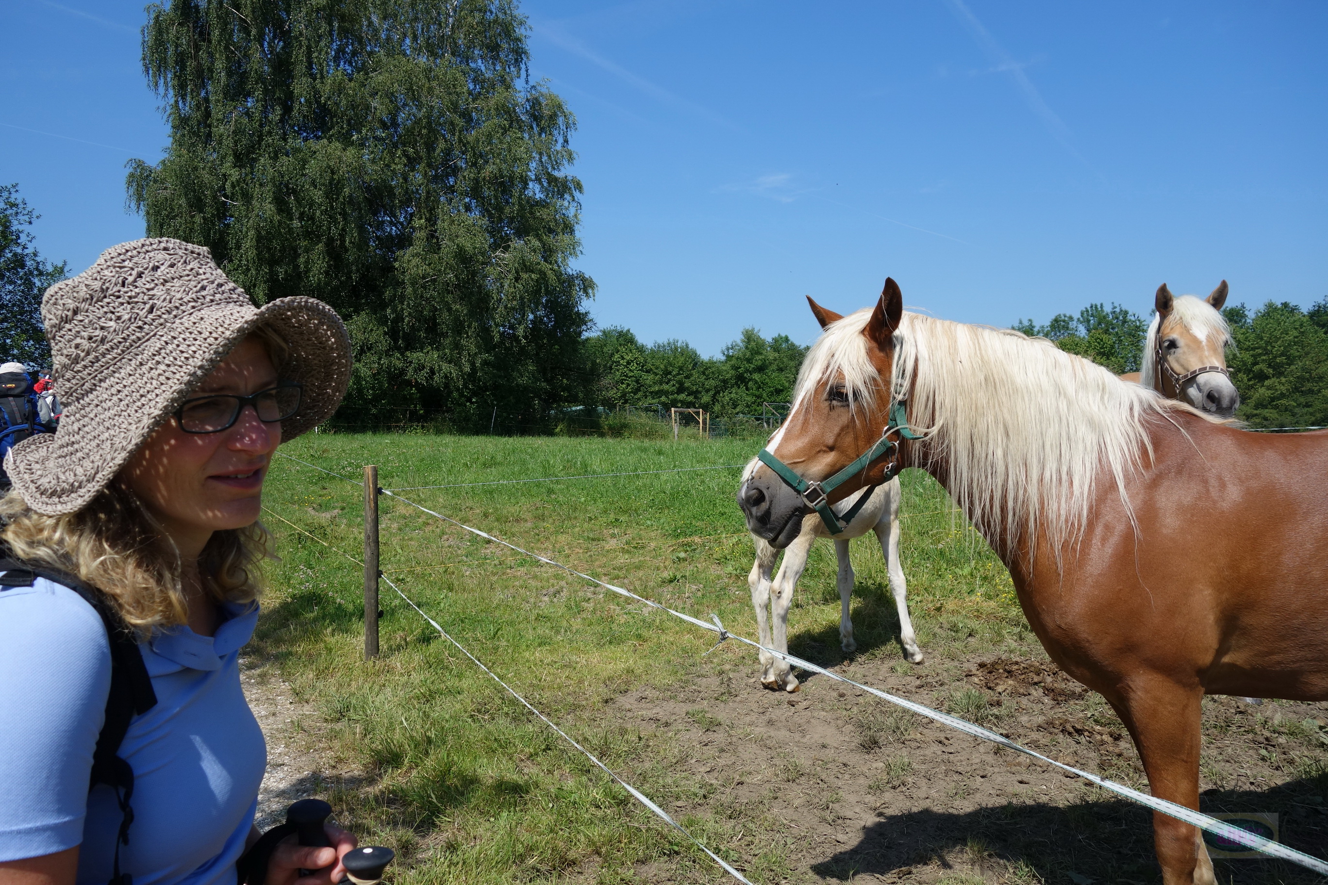 140622 10-03-19 _020_BS_