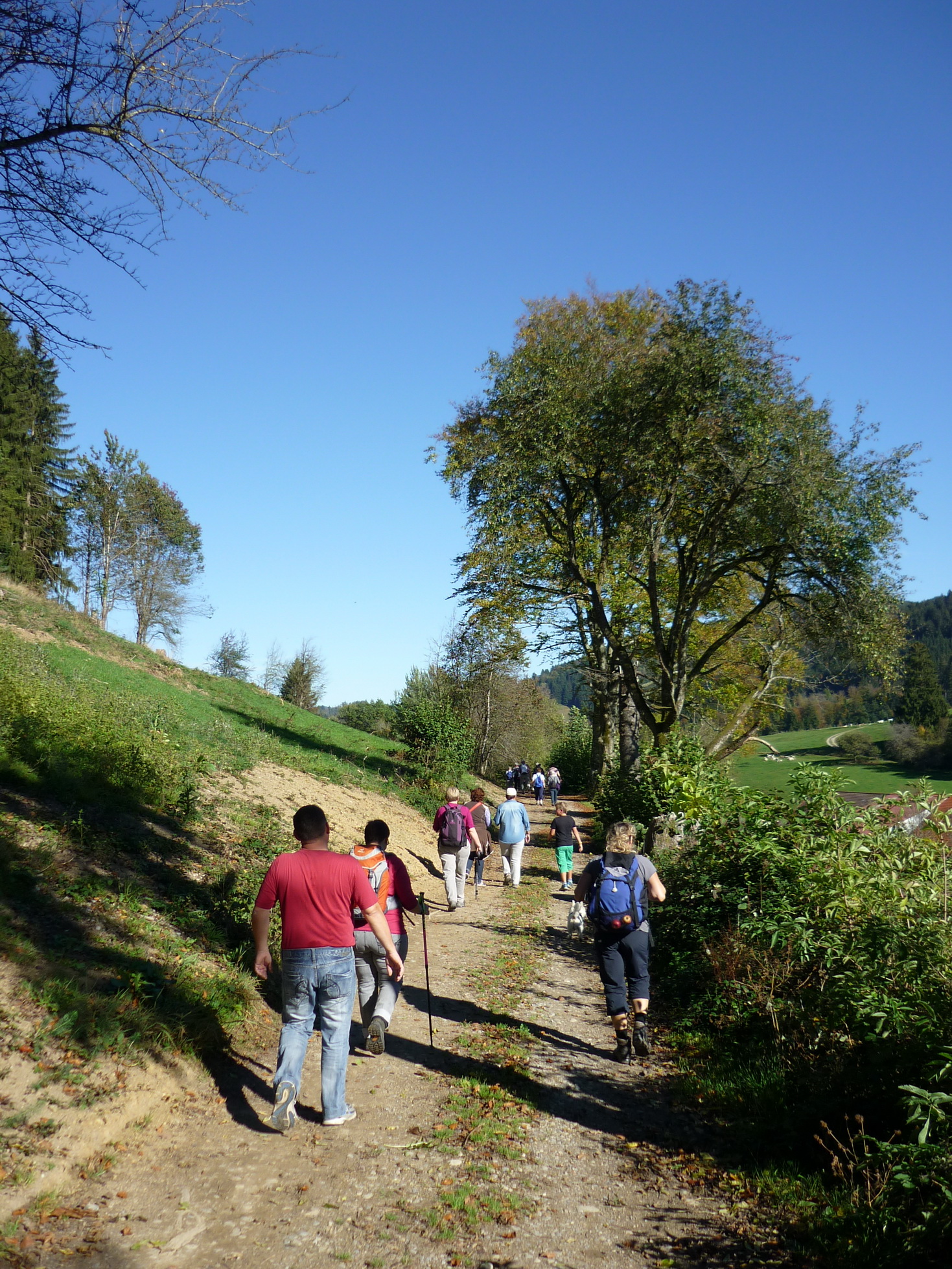 002_2014-10-19 14-21-36 _002_O_