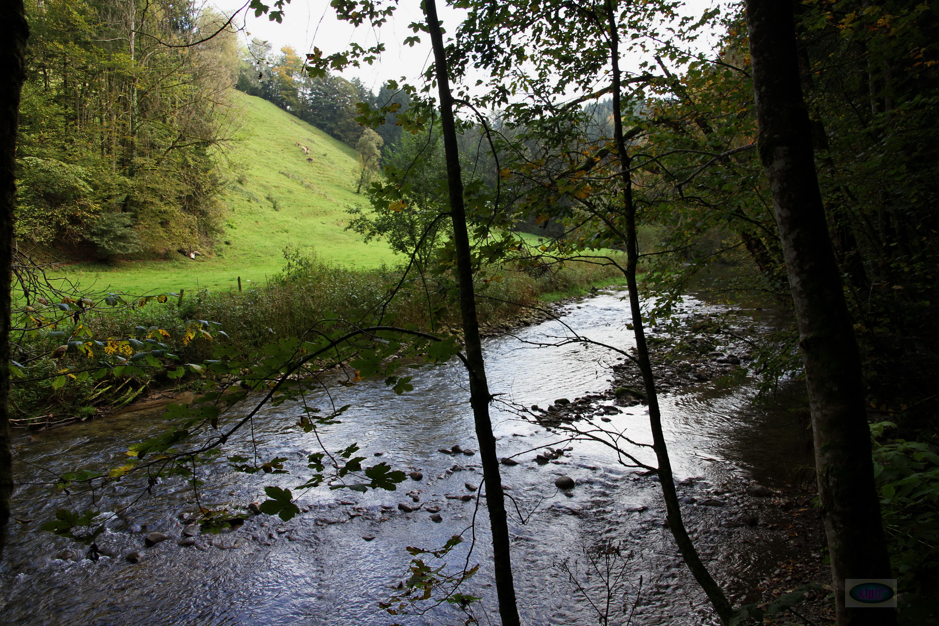 020_2014-10-03 12-16-45 _006_O_