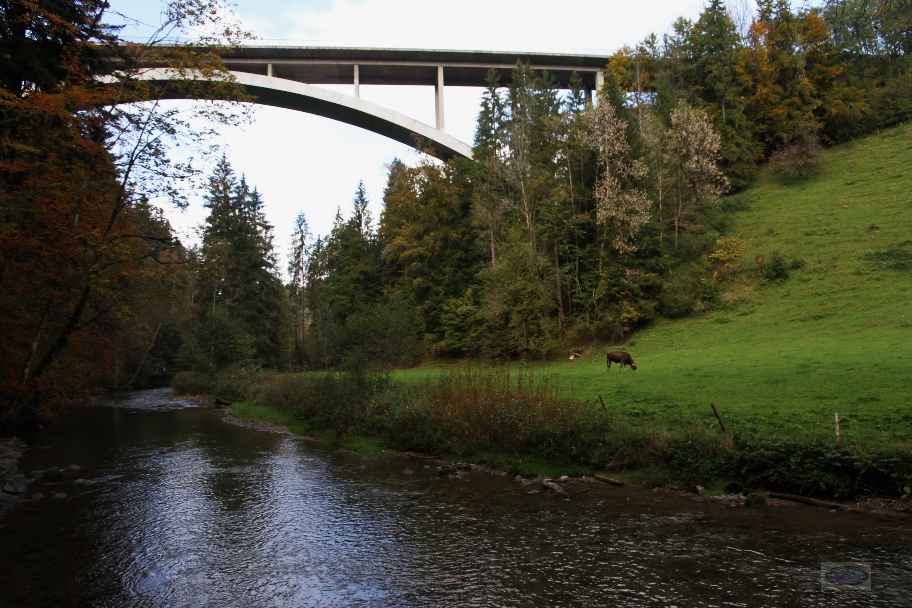 023_2014-10-03 12-18-28 _007_O_