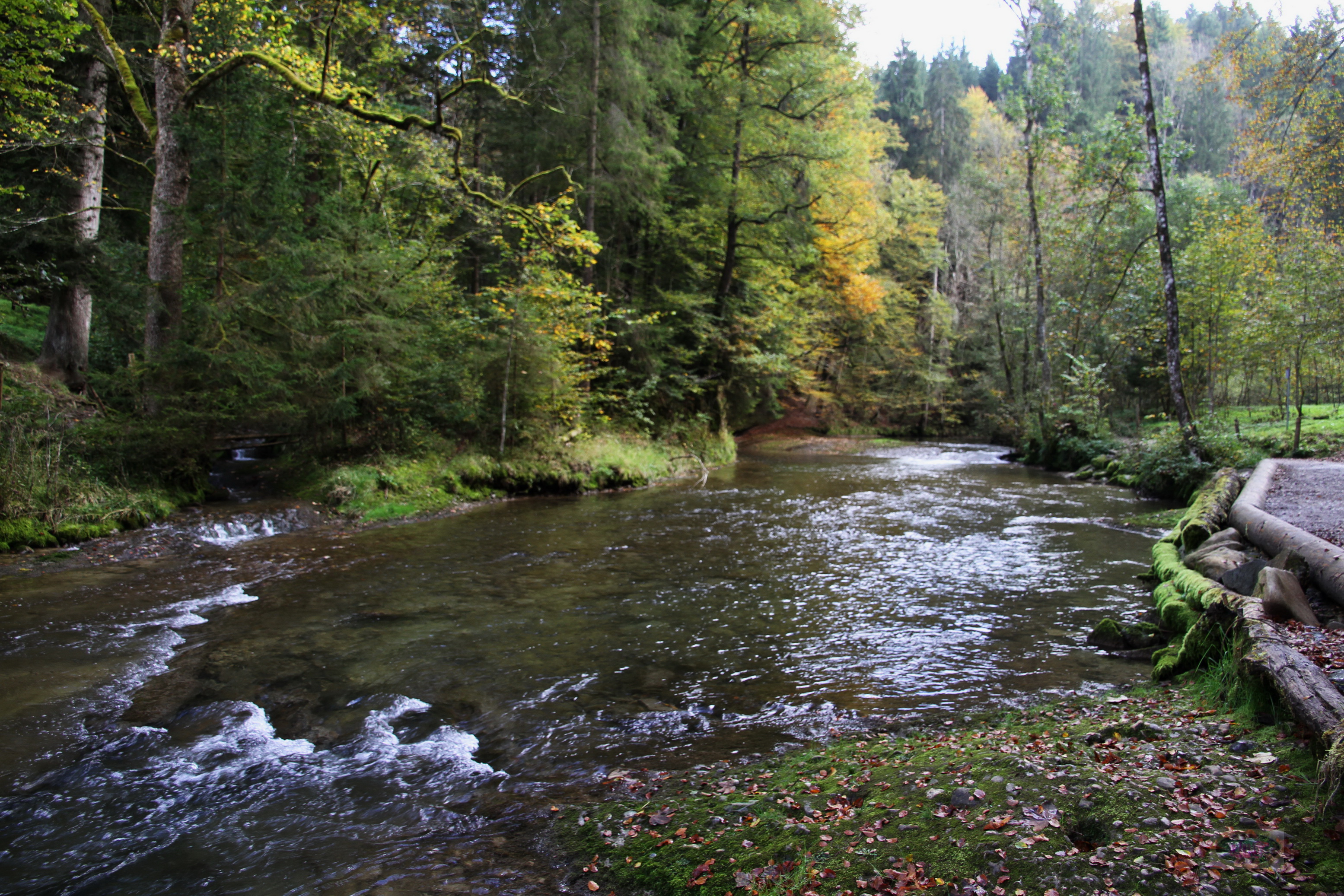 025_2014-10-03 12-20-07 _008_O_
