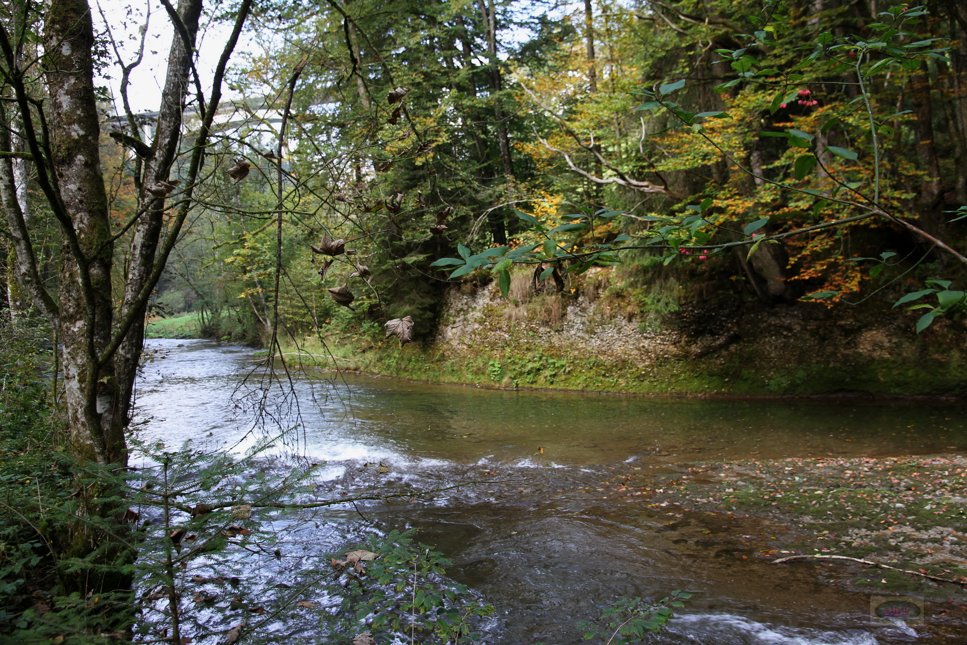 028_2014-10-03 12-22-22 _011_O_