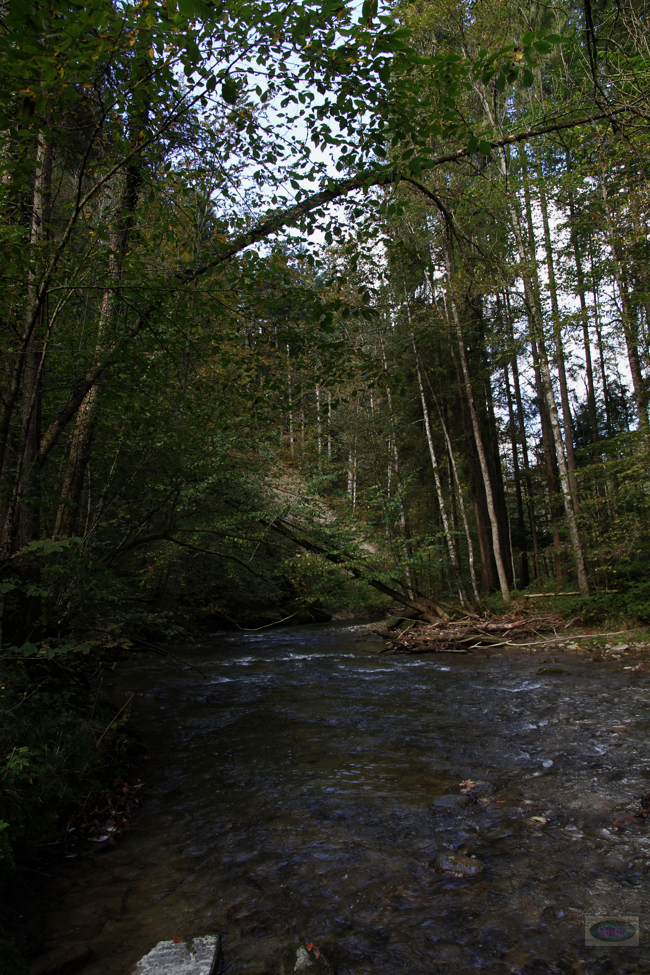 030_2014-10-03 12-26-26 _014_O_