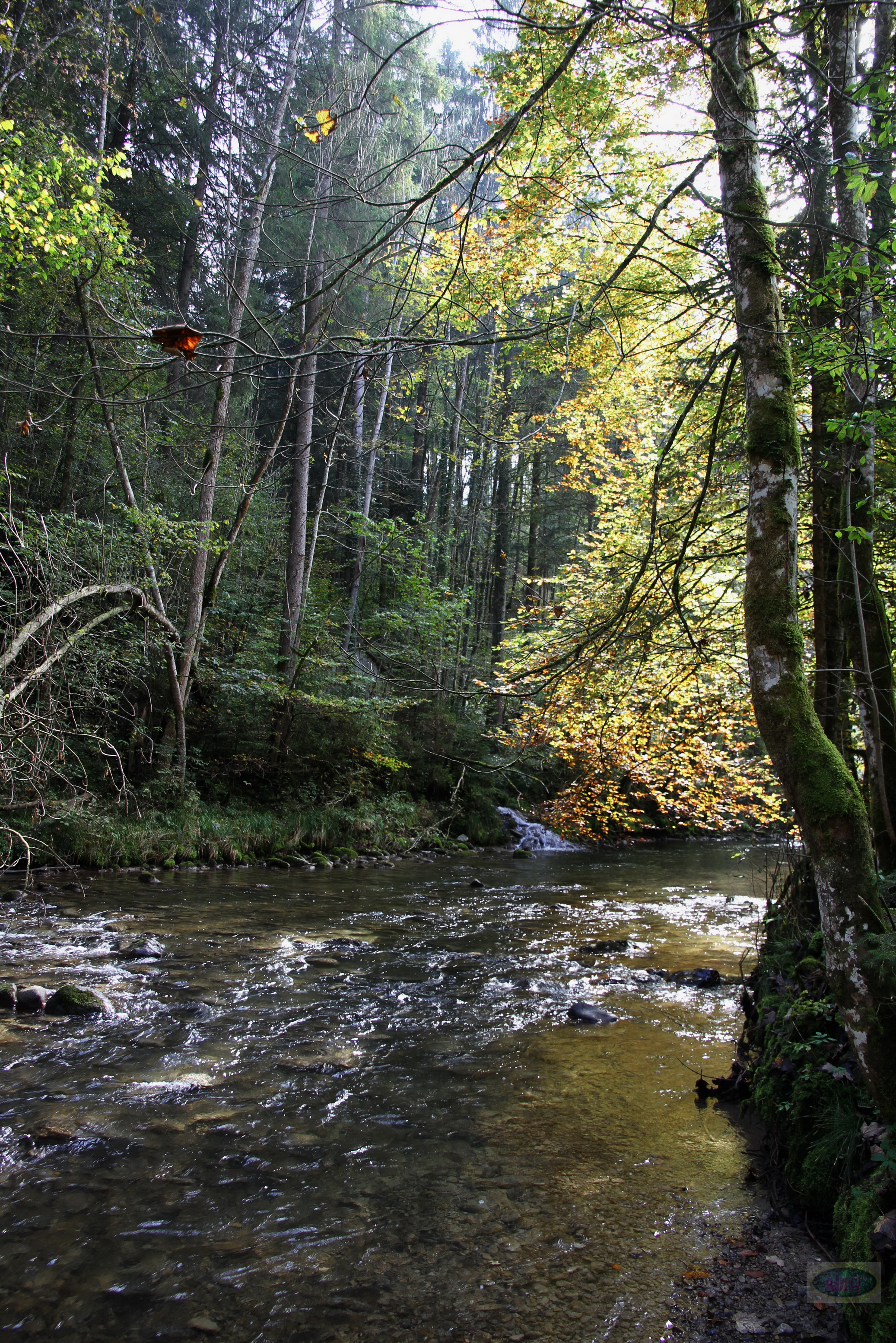 031_2014-10-03 12-27-27 _015_O_