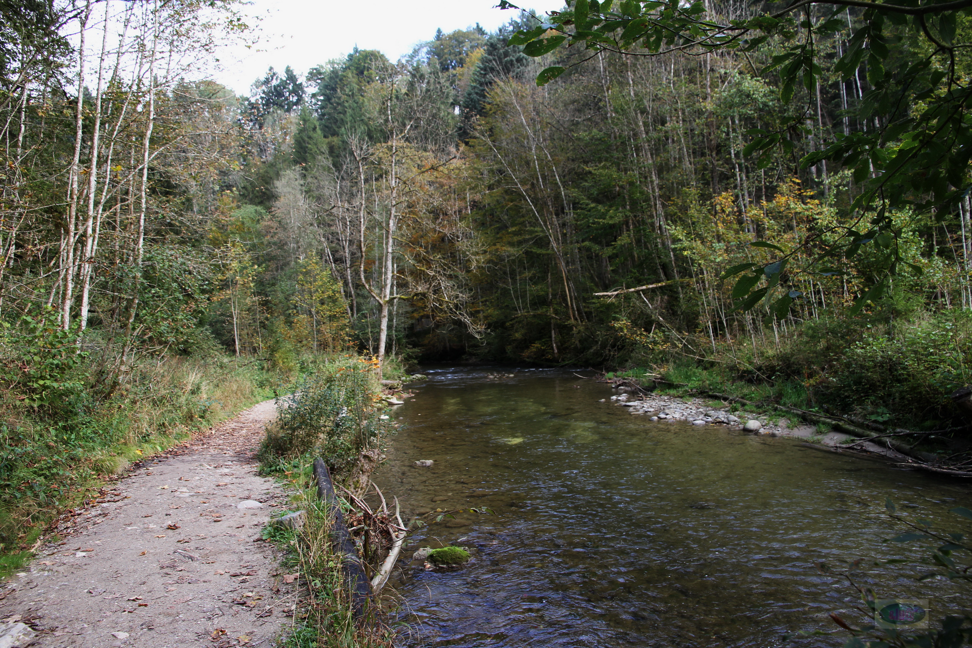 032_2014-10-03 12-29-44 _017_O_