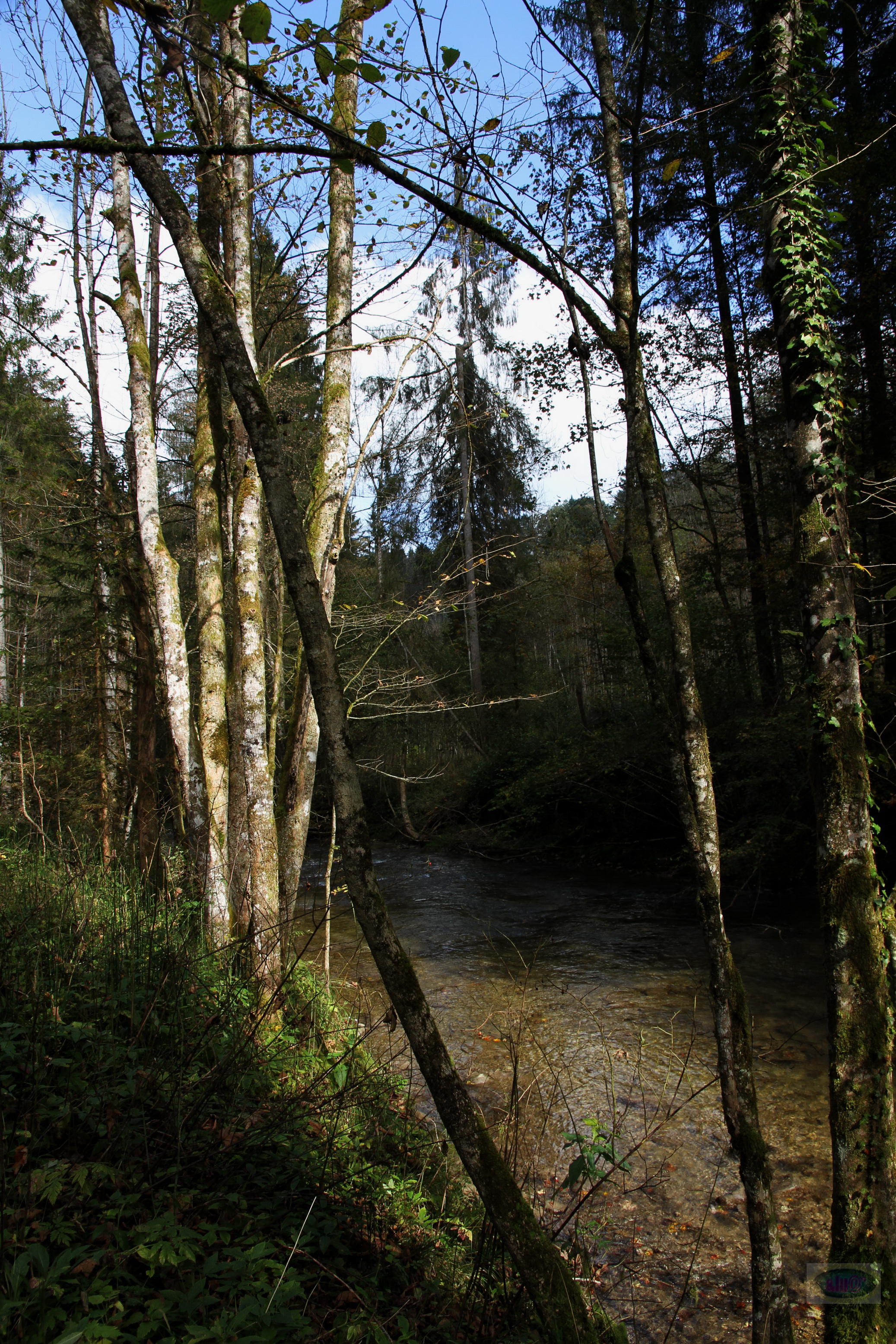 033_2014-10-03 12-31-59 _019_O_