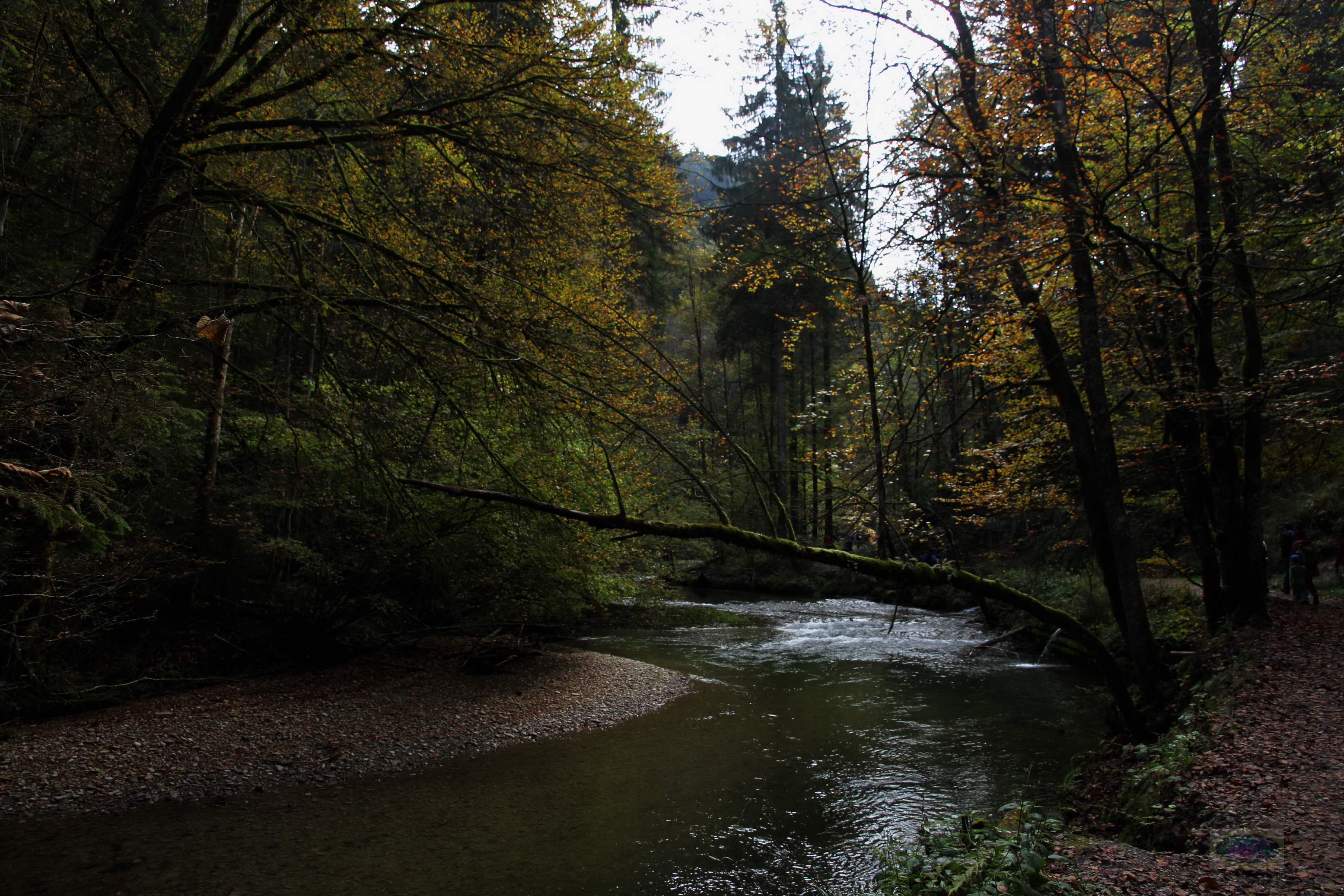 034_2014-10-03 12-32-41 _020_O_