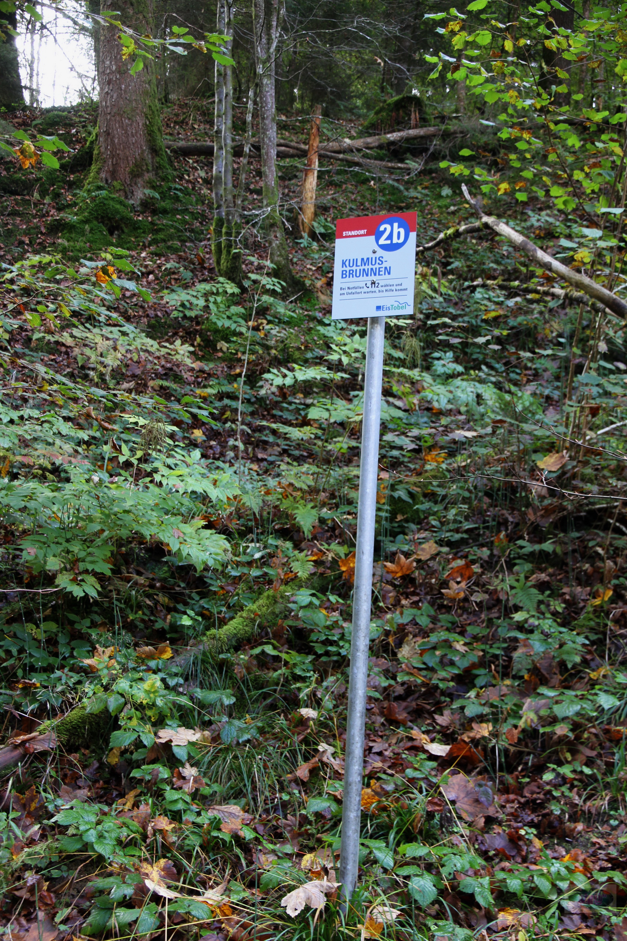 036_2014-10-03 12-35-23 _022_O_