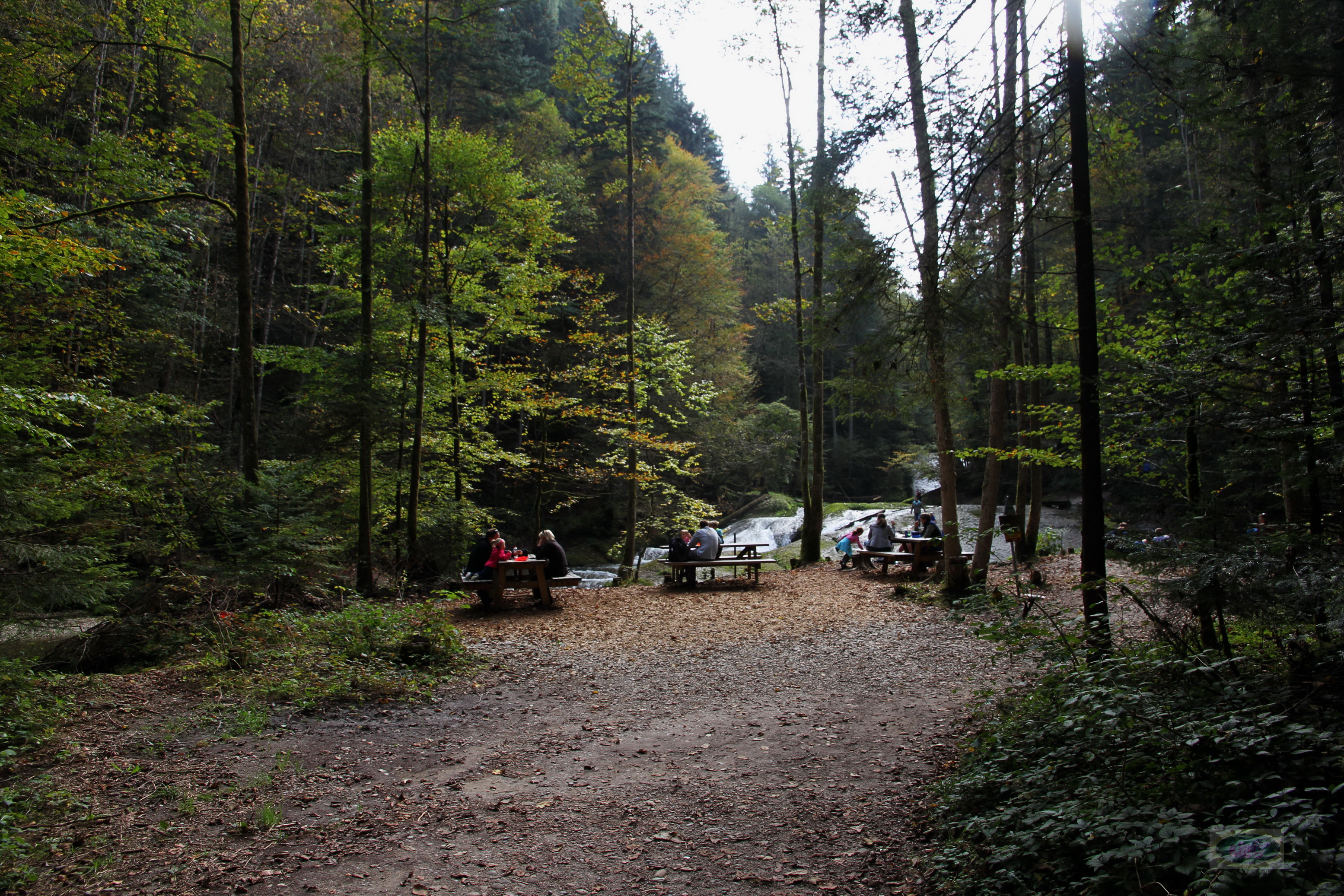 039_2014-10-03 12-39-13 _029_O_