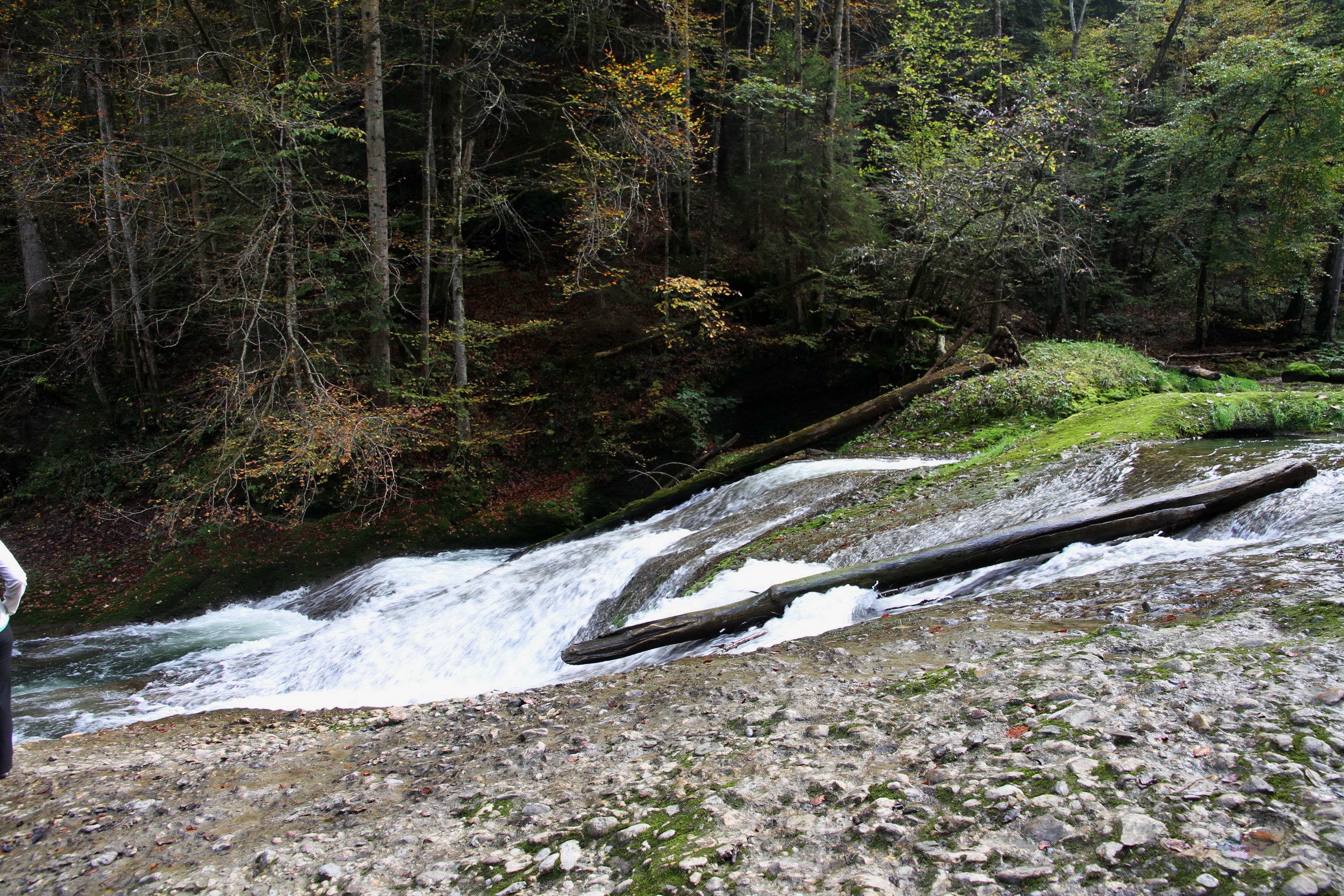 048_2014-10-03 12-43-44 _035_O_