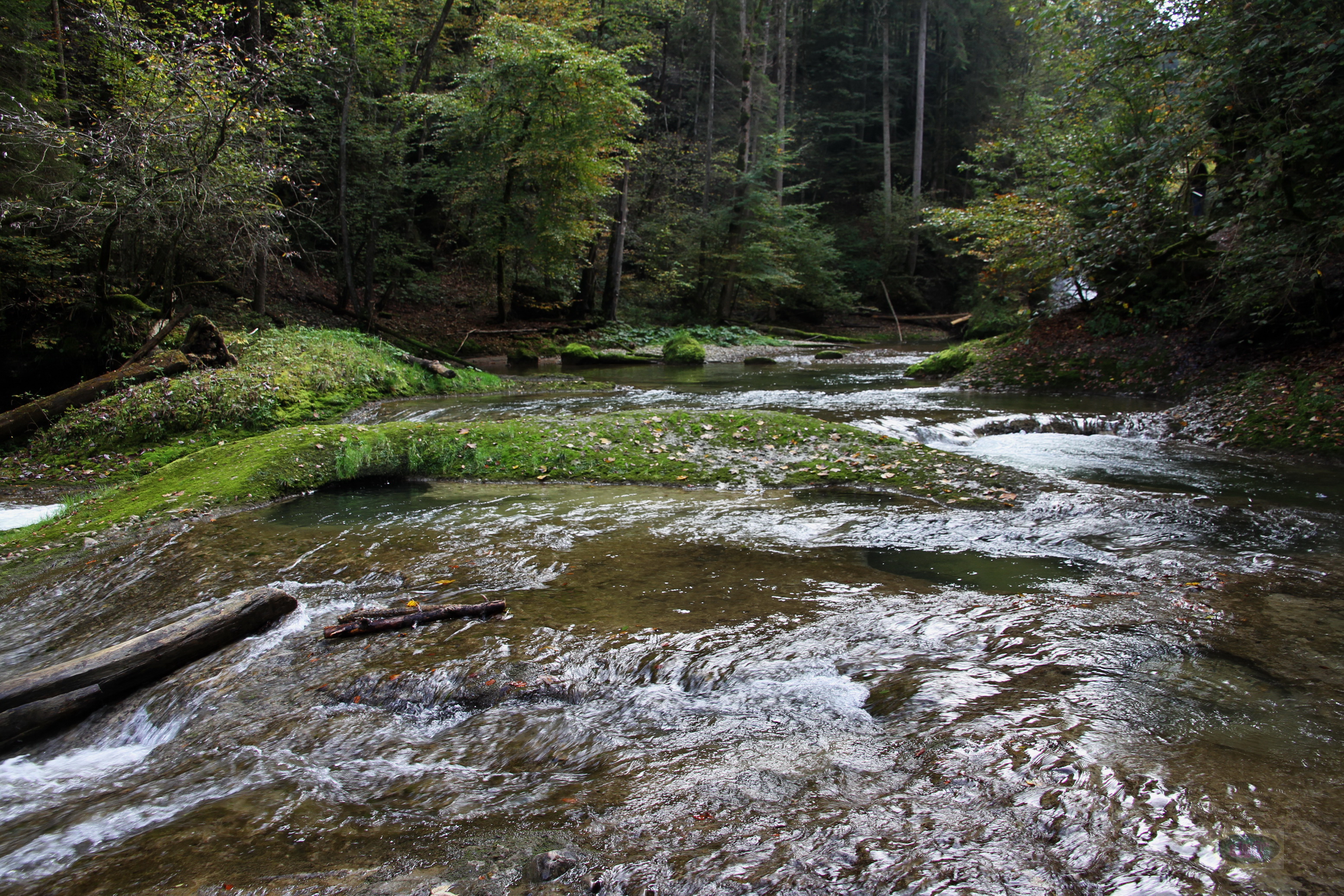 049_2014-10-03 12-43-01 _033_O_