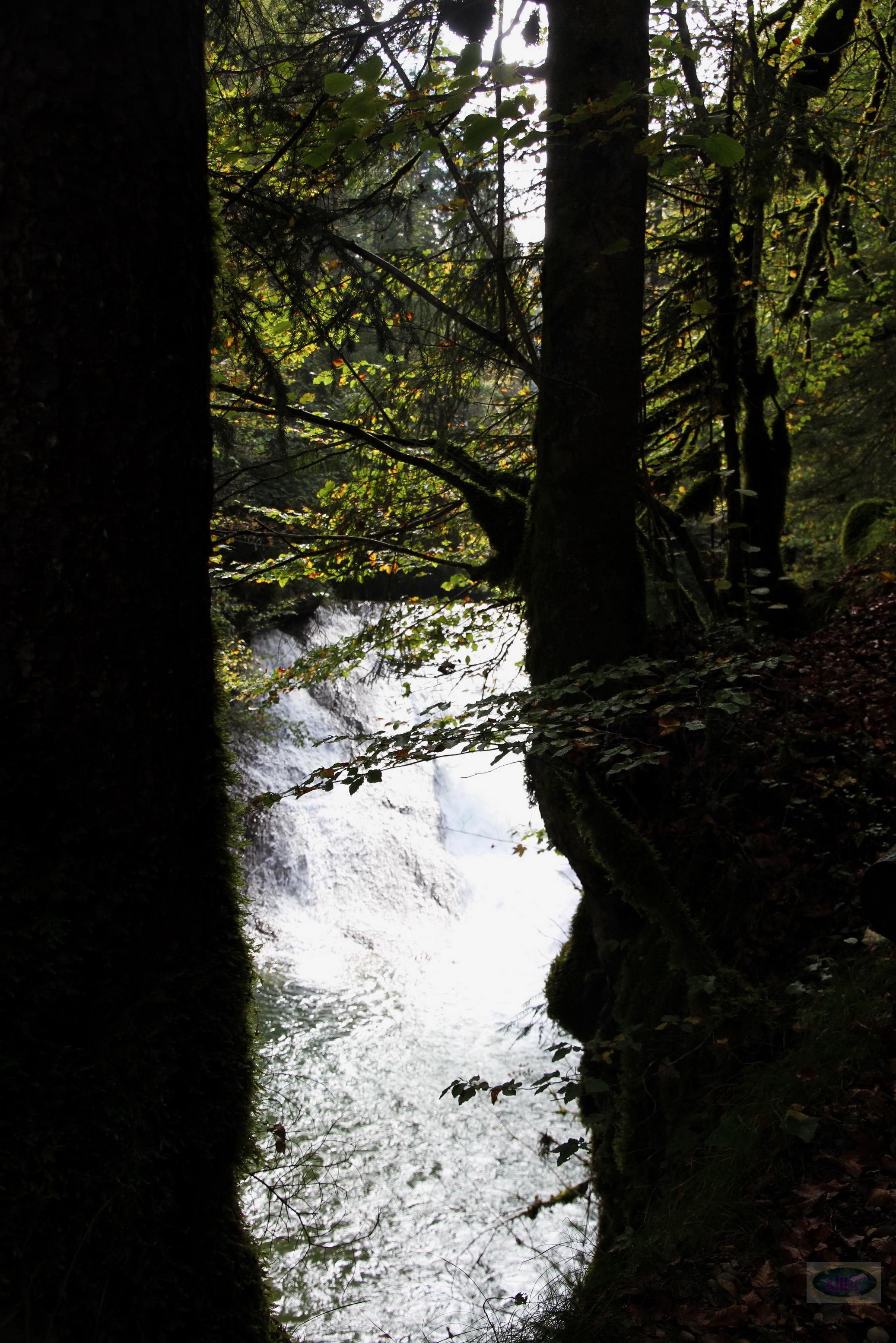054_2014-10-03 12-49-24 _038_O_