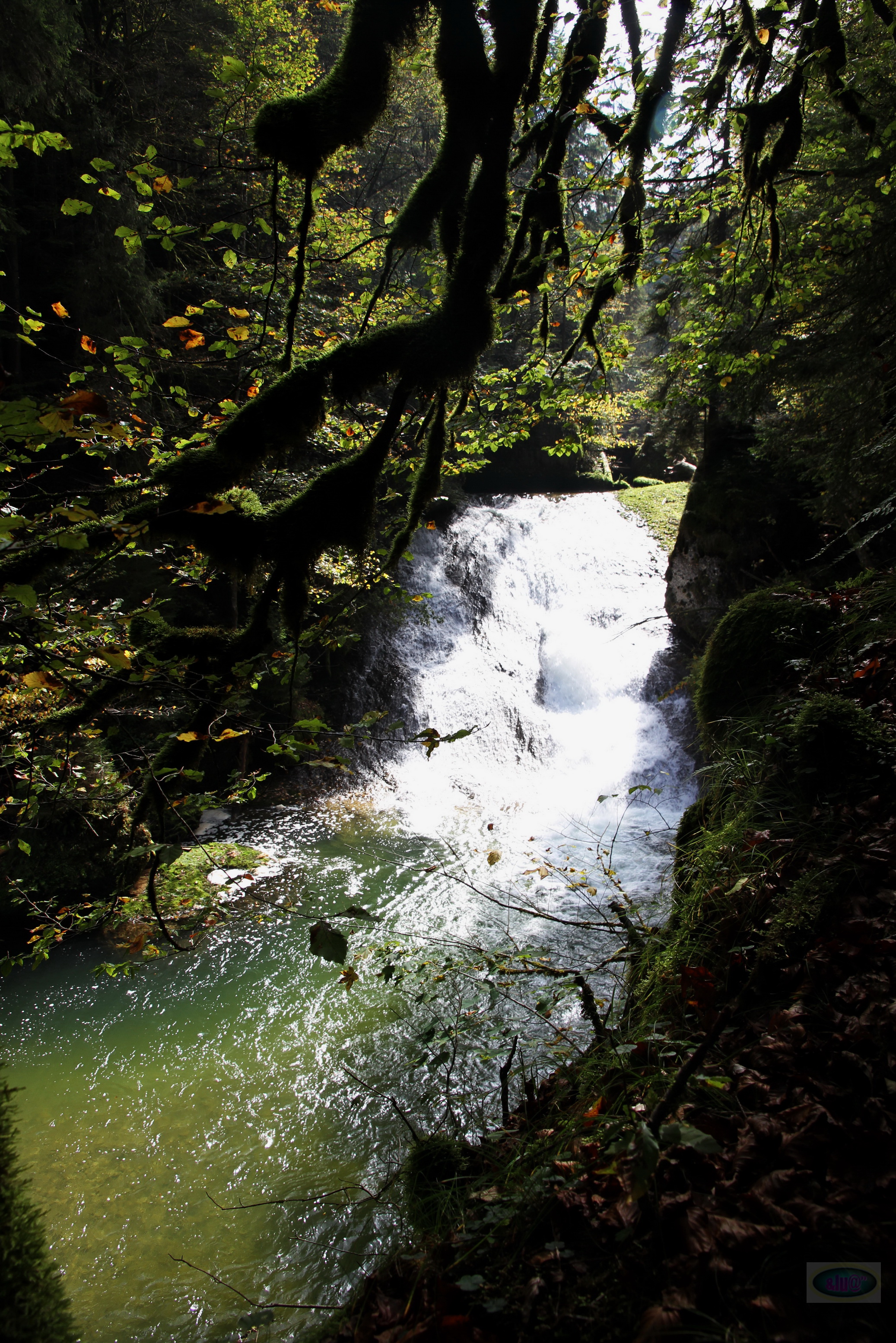 055_2014-10-03 12-50-12 _039_O_
