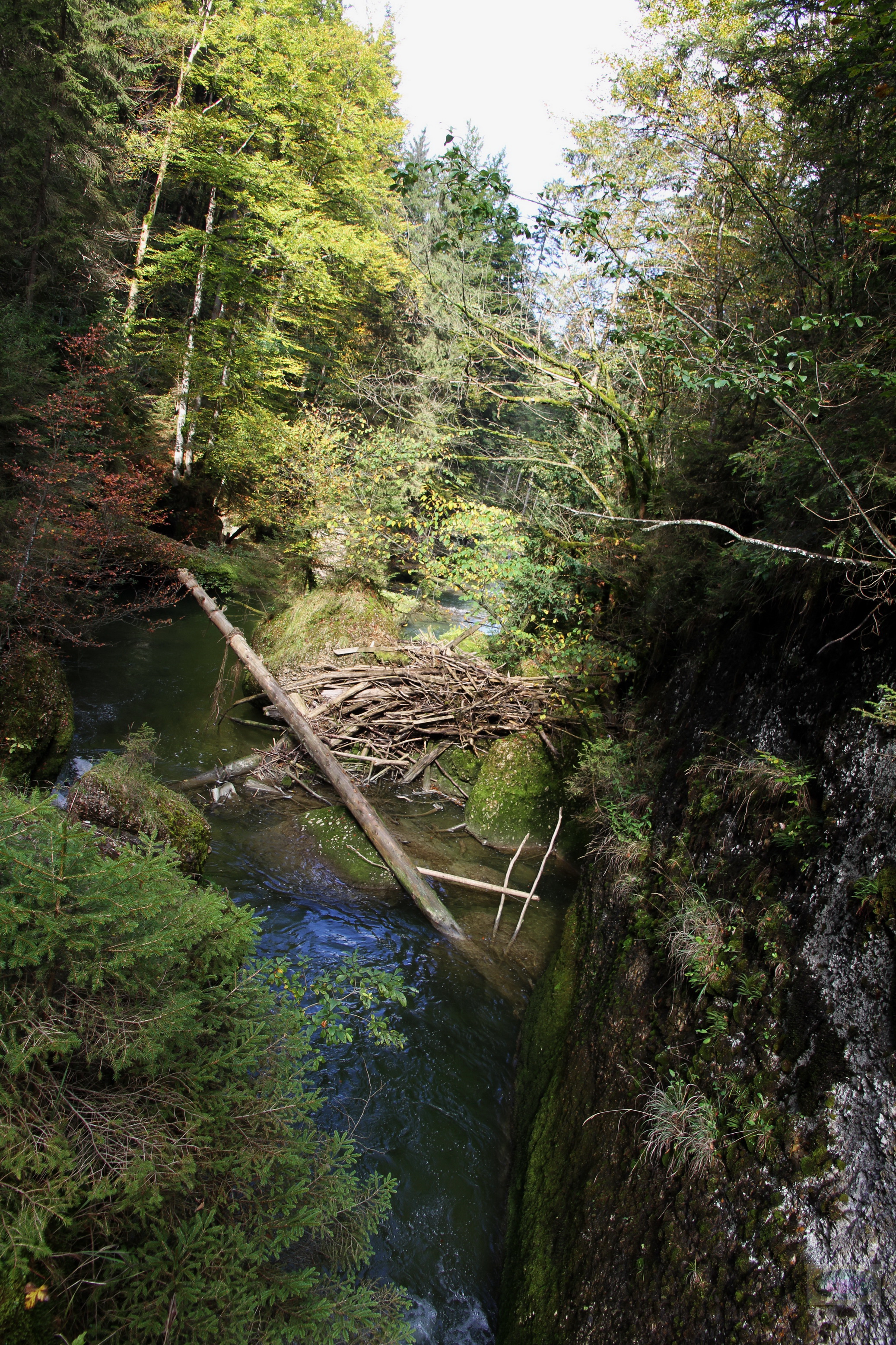 058_2014-10-03 12-56-43 _043_O_