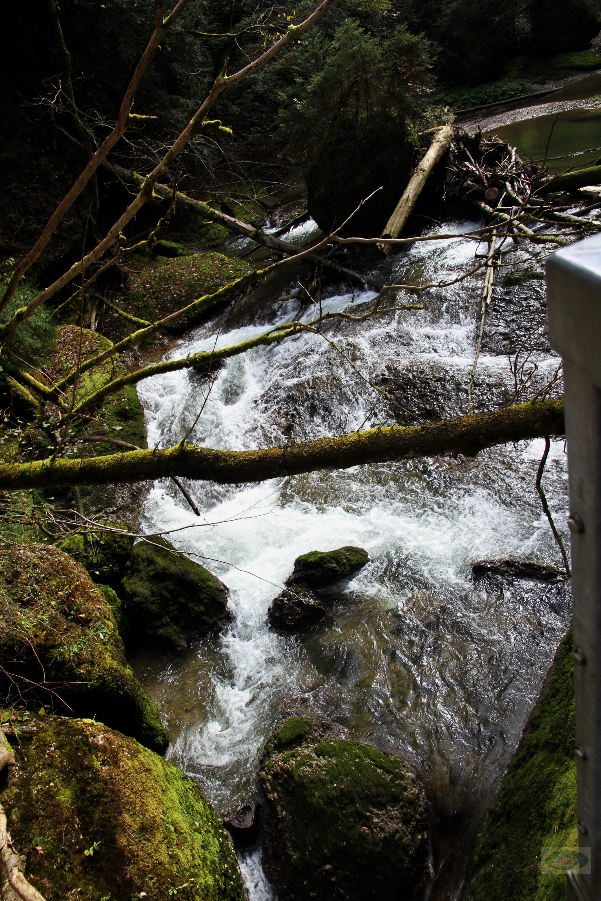 059_2014-10-03 12-57-00 _044_O_