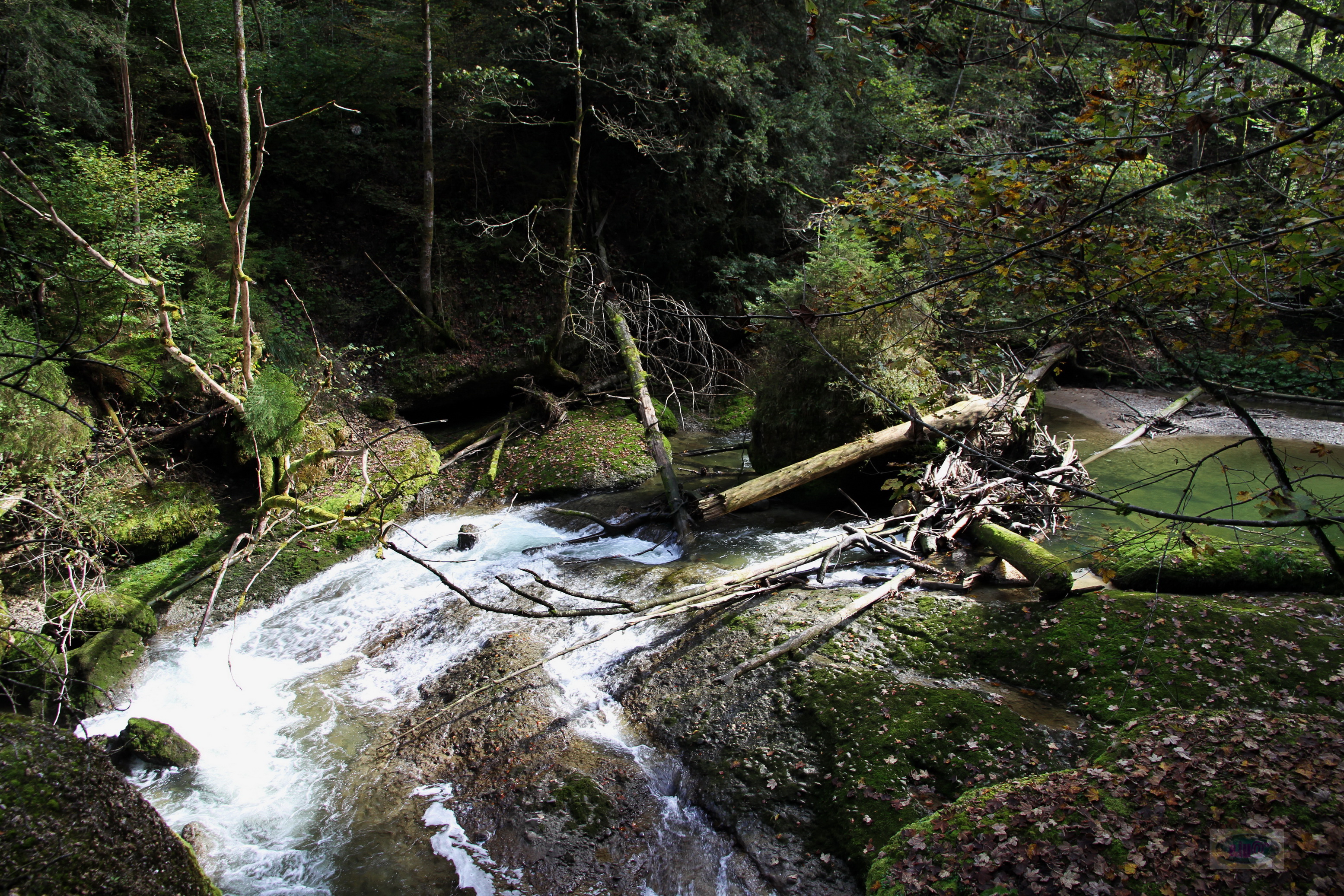 061_2014-10-03 12-57-29 _046_O_