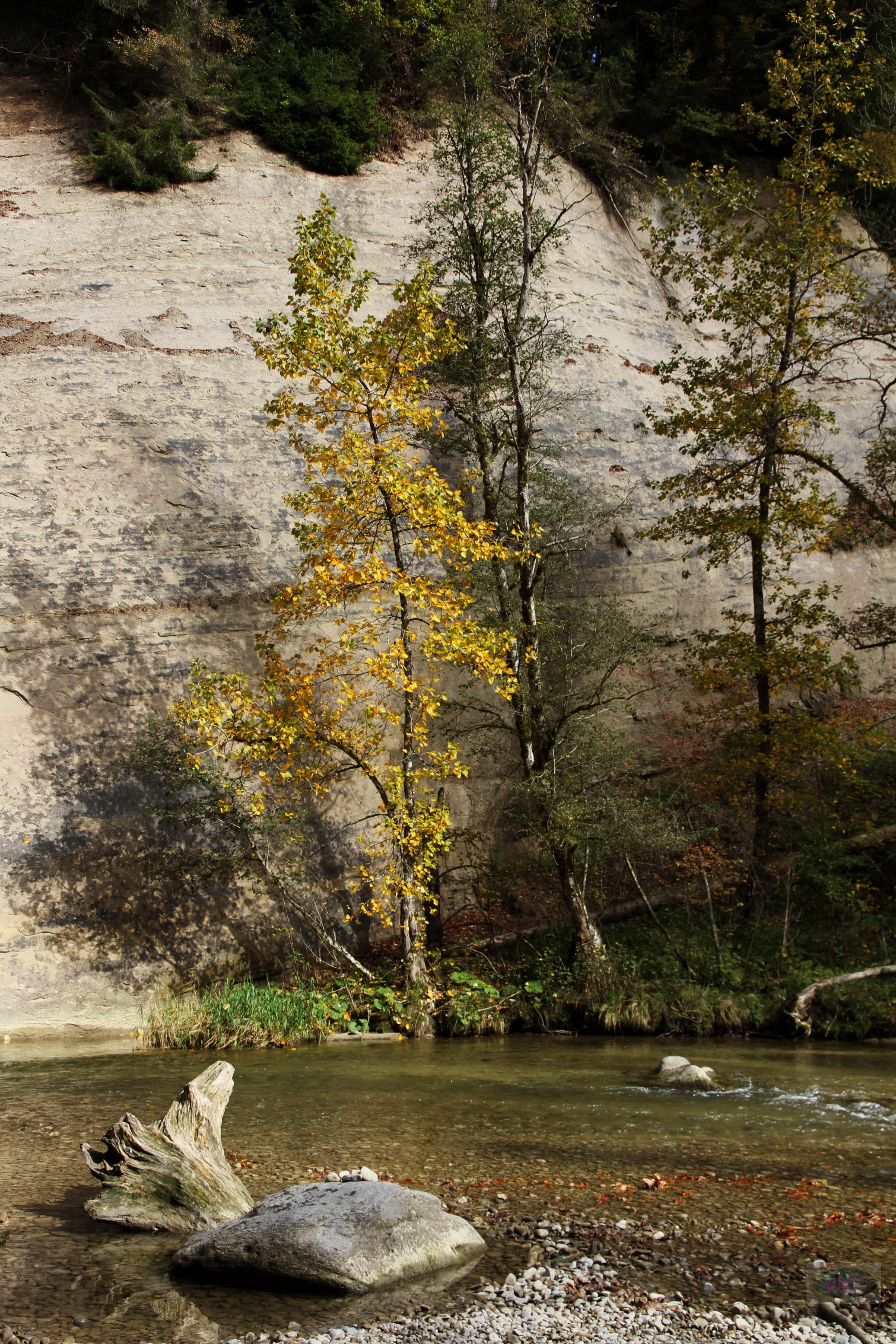 070_2014-10-03 13-16-15 _058_O_