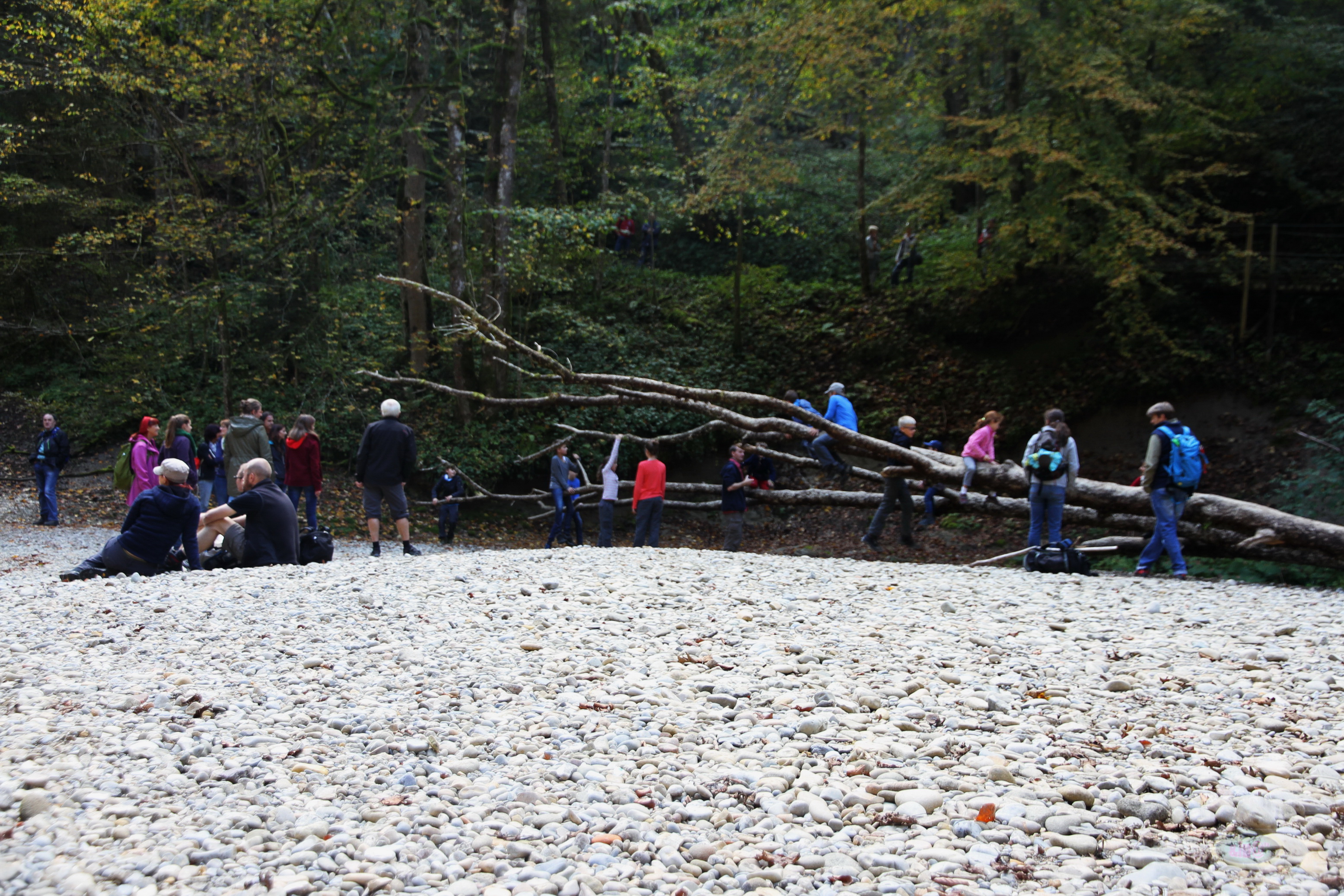 071_2014-10-03 13-23-20 _059_O_