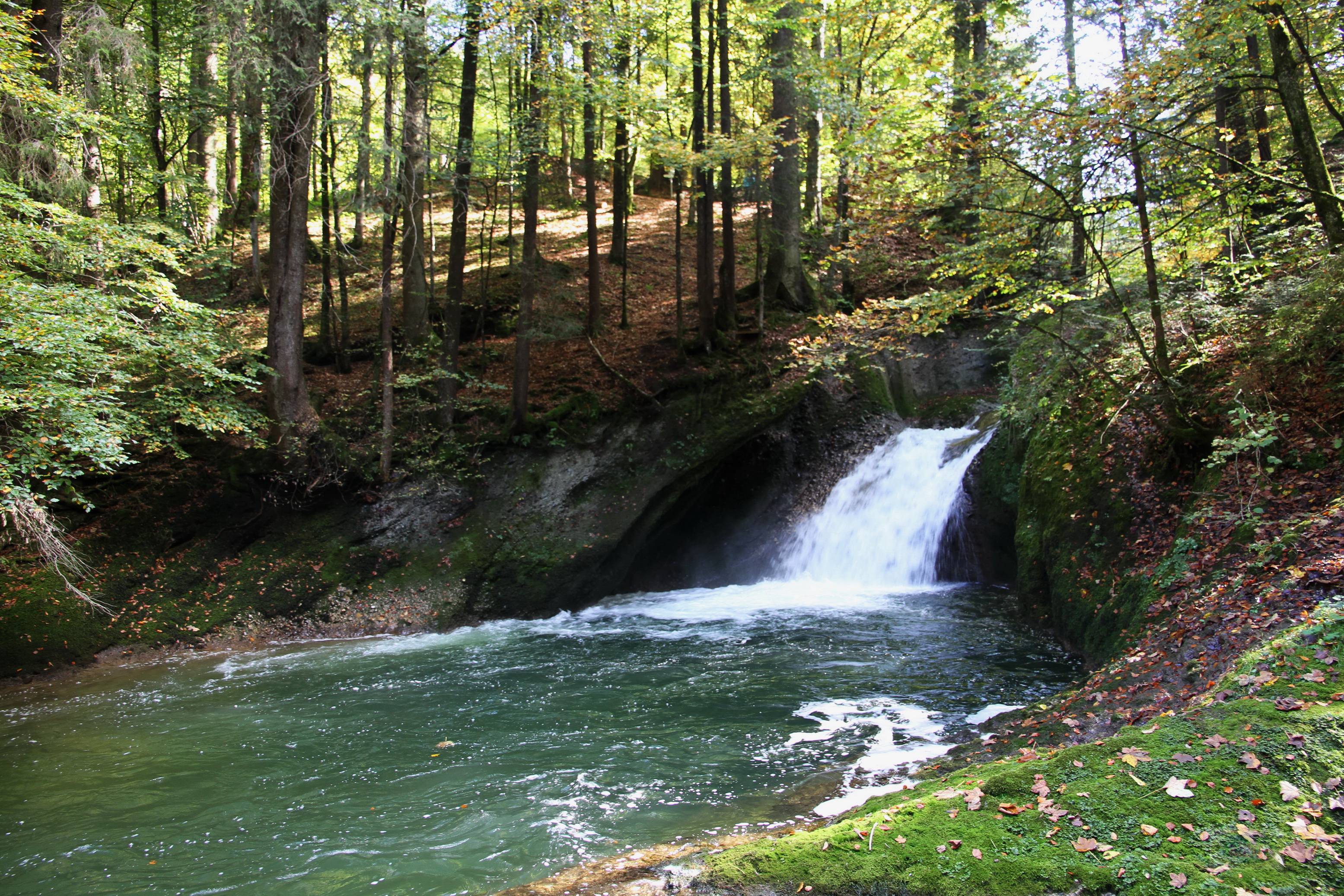 100_2014-10-03 13-41-53 _074_O_