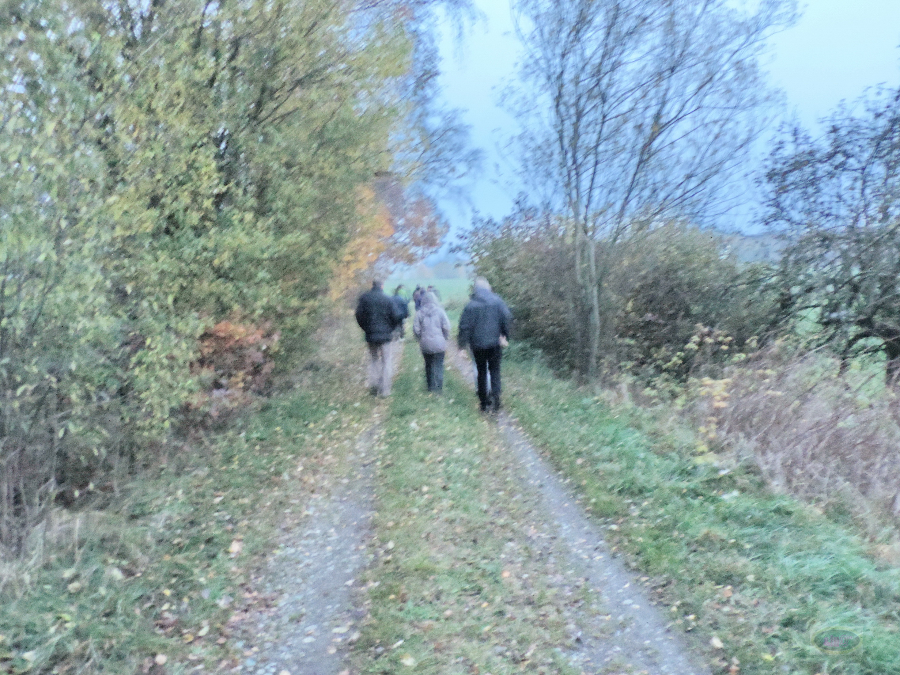 2014-11-09 18-13-50 _153_BHp