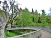 150509052_B_Rehsprung Donau mit Schloss.jpg