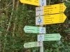 150712068_Ww_Bachtal 703m