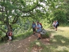 150712123_B_Aussicht am Stiegelesfels