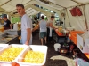 150726022_B_Salat