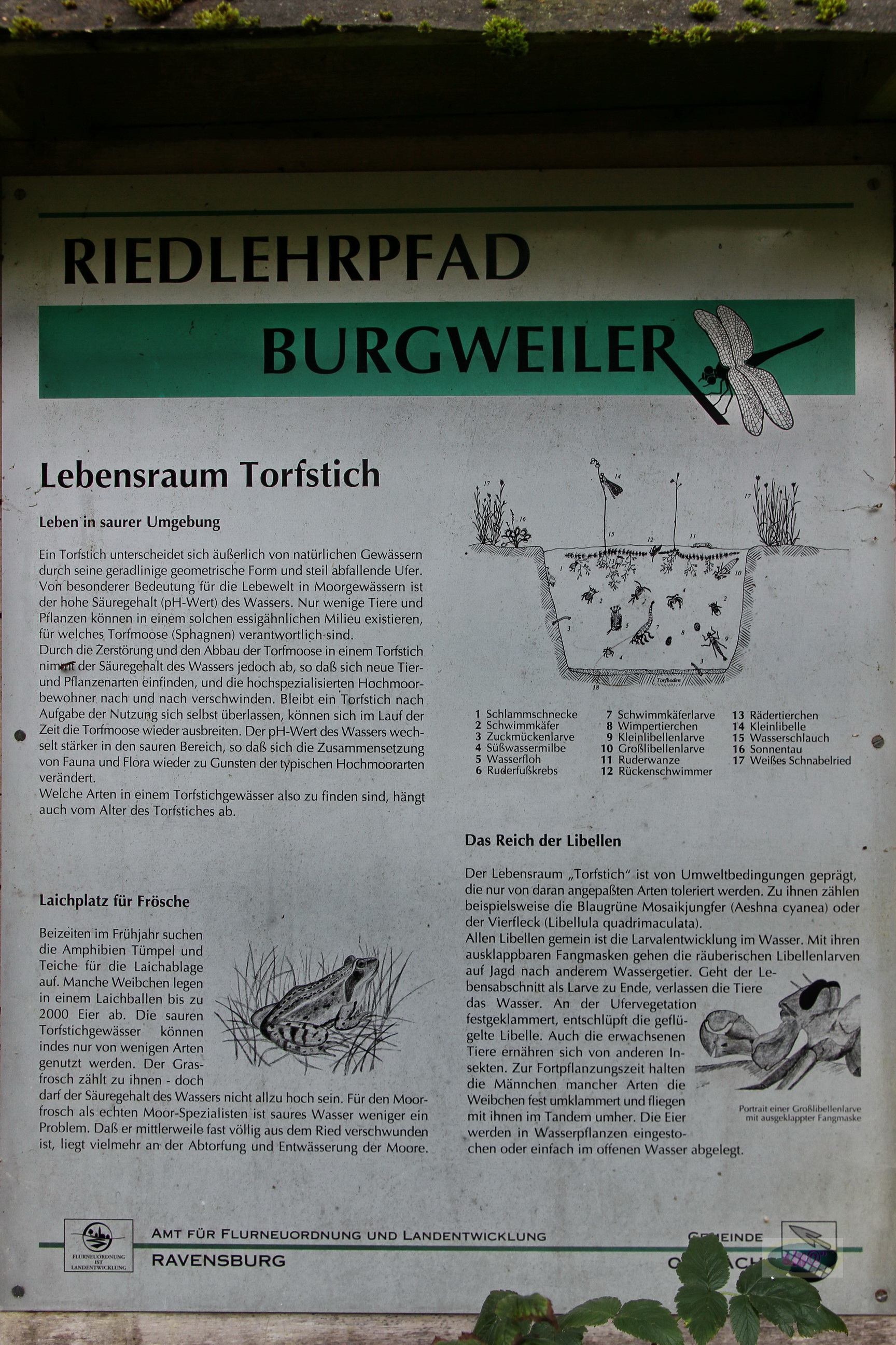 151011029_Besch_Torfstich