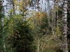 151011031_B_Riedwald