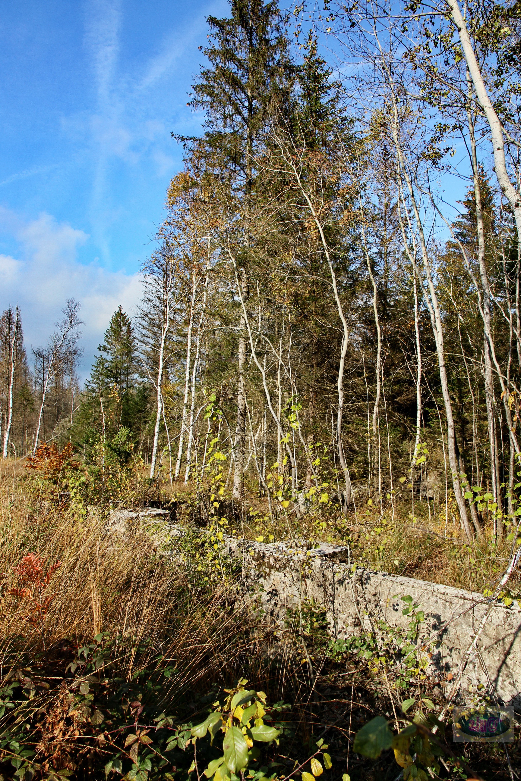 151025116_B_Altes Torfwerk