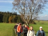 151025057_B_nach dem Wald Birke