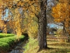 151108011_B_Durlesbach