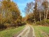 151108076_B_ins Steinacher Ried