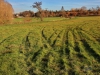 151108089_B_Steinacher Ried